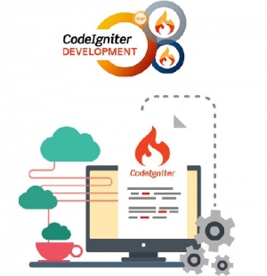 Service Provider of Php Codeigniter Website Development Delhi Delhi 