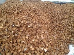 Coconut shell chips and powder Manufacturer Supplier Wholesale Exporter Importer Buyer Trader Retailer in Chennai Tamil Nadu India