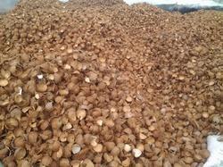 Coconut shell chips and powder Services in Chennai Tamil Nadu India