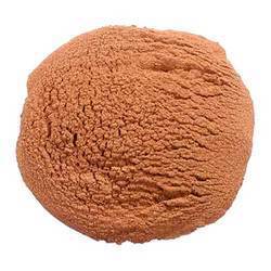 Coconut Shell Powder Manufacturer Supplier Wholesale Exporter Importer Buyer Trader Retailer in Hochiminh City  Vietnam