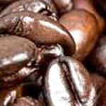Coffee  Seeds