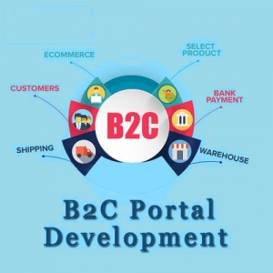 Service Provider of B2C Portal Development Delhi Delhi 