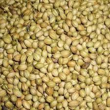 Coriander Seeds Manufacturer Supplier Wholesale Exporter Importer Buyer Trader Retailer in Coimbatore Tamil Nadu India