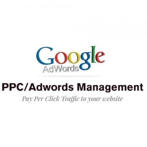 Service Provider of Adwords PPC Ludhiana Punjab Adwords PPC