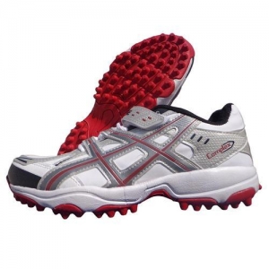Manufacturers Exporters and Wholesale Suppliers of Cricket Shoes Shalimar Bagh Delhi