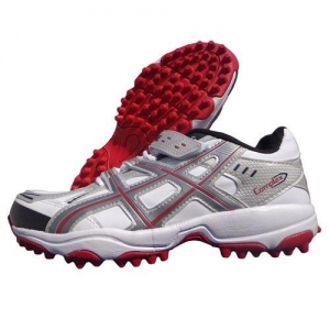 Cricket Shoes Manufacturer Supplier Wholesale Exporter Importer Buyer Trader Retailer in Shalimar Bagh Delhi India