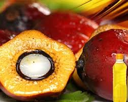 Manufacturers Exporters and Wholesale Suppliers of CRUDE PALM OIL  Pondicherry