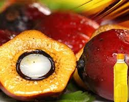 CRUDE PALM OIL Manufacturer Supplier Wholesale Exporter Importer Buyer Trader Retailer in  Pondicherry United Kingdom