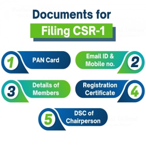 Service Provider of CSR-1 Registration Delhi Delhi