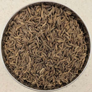 Cumin Seeds Manufacturer Supplier Wholesale Exporter Importer Buyer Trader Retailer in Mahuva Gujarat India