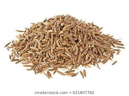 Cumin Seeds Manufacturer Supplier Wholesale Exporter Importer Buyer Trader Retailer in Rourkela Orissa India