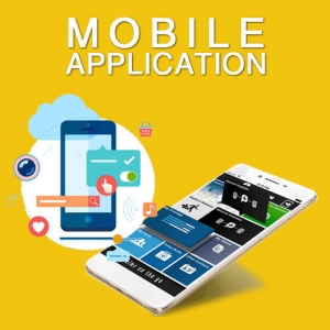 Service Provider of Affordable Solutions For Mobile App Ludhiana Punjab