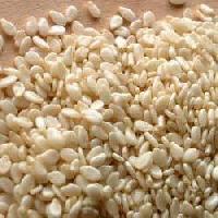 Sesame Seeds Manufacturer Supplier Wholesale Exporter Importer Buyer Trader Retailer in Unjha Gujarat India