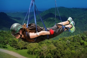 Service Provider of Zipline Dharamshala Himachal Pradesh