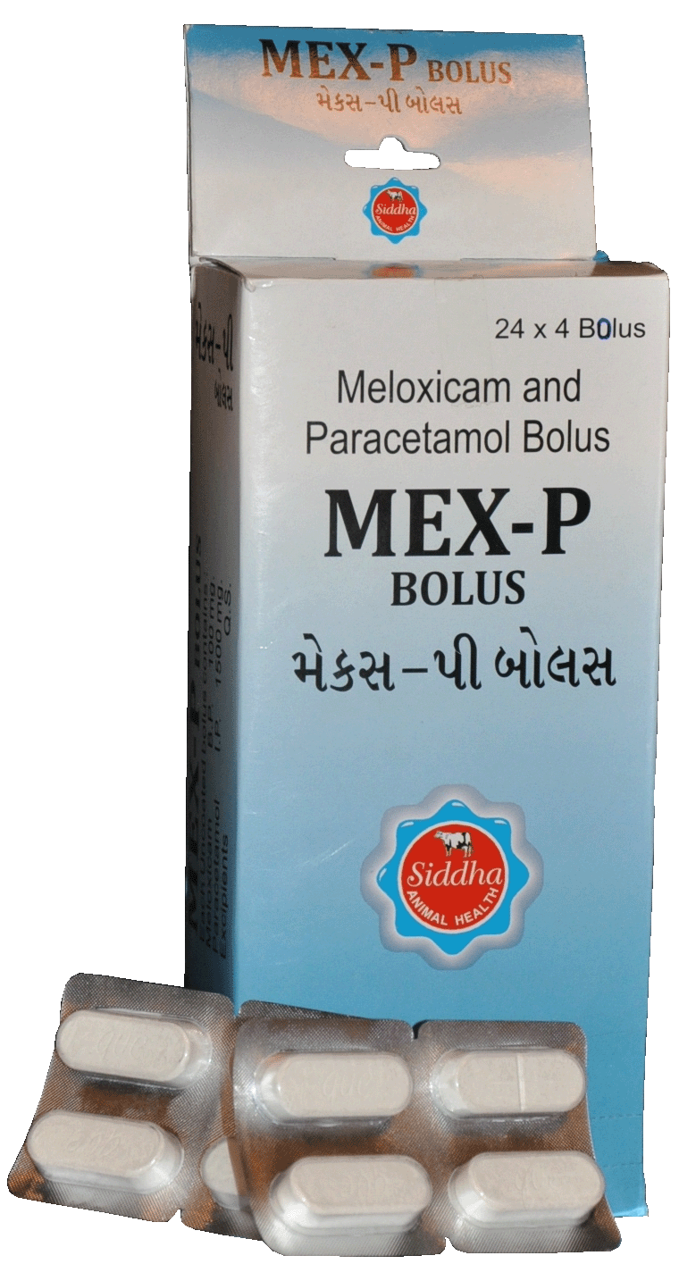Manufacturers Exporters and Wholesale Suppliers of MEX P BOLUS Patan Gujarat