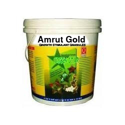 Amrut Gold