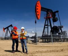 Manufacturers Exporters and Wholesale Suppliers of Oil And Gas Industry Services Ahmedabad Gujarat