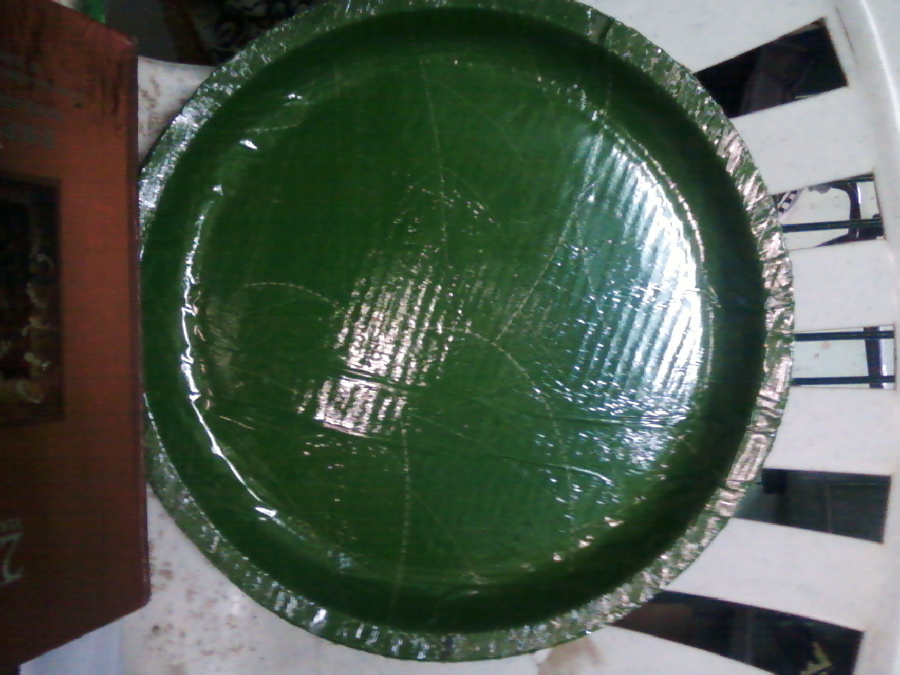 Buffet Plate(green)