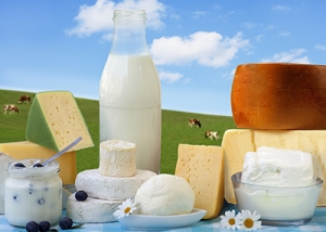 Manufacturers Exporters and Wholesale Suppliers of FREDA Nisin and Natamycin India - Dairy Preservative KOCHI Kerala