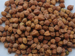 Manufacturers Exporters and Wholesale Suppliers of Desi Chickpeas Coimbatore Tamil Nadu