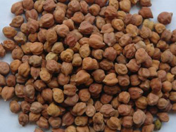 Desi Chickpeas