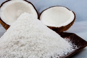 Manufacturers Exporters and Wholesale Suppliers of Desiccated Coconut Mojokerto Other
