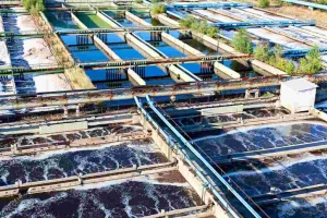 Beneficial Microbes For Efficient Waste Water Treatment