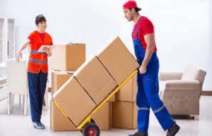 Packer & Movers/ Local Packer & Movers