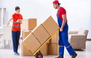 Service Provider of Packer & movers/ Local packer & movers New Delhi Delhi 