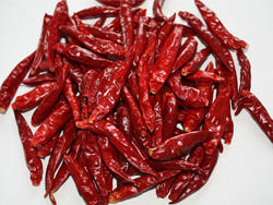 Red Chilli Manufacturer Supplier Wholesale Exporter Importer Buyer Trader Retailer in Coimbatore Tamil Nadu India