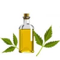 Neem Oil Manufacturer Supplier Wholesale Exporter Importer Buyer Trader Retailer in Surat Gujarat India