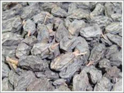 Manufacturers Exporters and Wholesale Suppliers of Drukh Raisins Mumbai Maharashtra Drukh Raisins