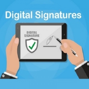 Service Provider of DSC (Digital Signature Certificate) Delhi Delhi 