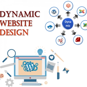 Service Provider of Dynamic Website Designing Services Delhi Delhi 