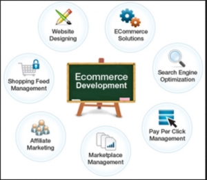 Affiliate eCommerce Website Development Services in Delhi Delhi India