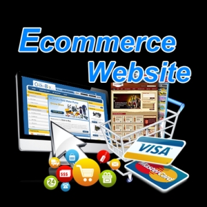 E Commerce Website Design Services in Ludhiana Punjab India