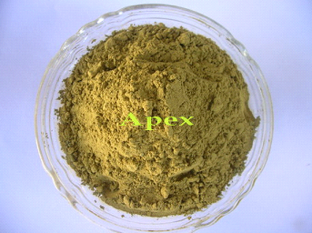 Manufacturers Exporters and Wholesale Suppliers of Henna Powder Lawsonia Inermis Jaipur Rajasthan