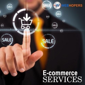 Service Provider of E Commerce Solutions Ludhiana Punjab 