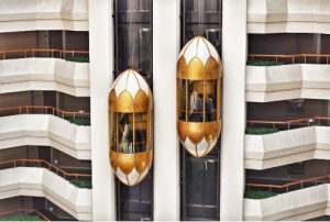 Capsule Elevator