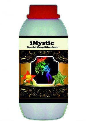 Manufacturers Exporters and Wholesale Suppliers of iMystic AHMEDABAD Gujarat