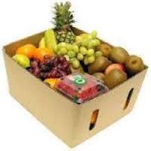 Manufacturers Exporters and Wholesale Suppliers of Vegetable Corrugated Boxes Rajkot Gujarat