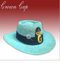 Manufacturers Exporters and Wholesale Suppliers of Sky Blue Hat Meerut Uttar Pradesh