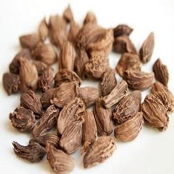 Manufacturers Exporters and Wholesale Suppliers of Black Cardamom Pathanamthitta Kerala