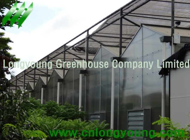 Polycarbonate Greenhouse Manufacturer Supplier Wholesale Exporter Importer Buyer Trader Retailer in xiamen  China