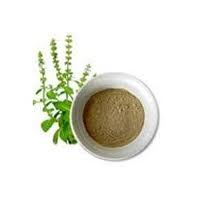 Manufacturers Exporters and Wholesale Suppliers of Tulsi Powder Sojat Rajasthan