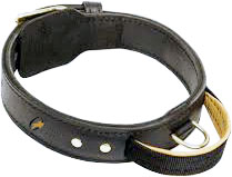 Bridle leather Lined Dog Collar with handle Manufacturer Supplier Wholesale Exporter Importer Buyer Trader Retailer in Kanpur Uttar Pradesh India