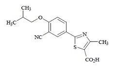 Manufacturers Exporters and Wholesale Suppliers of FEBUXOSTAT Surat Gujarat