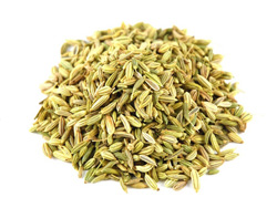 Fennel Seeds Manufacturer Supplier Wholesale Exporter Importer Buyer Trader Retailer in Coimbatore Tamil Nadu India