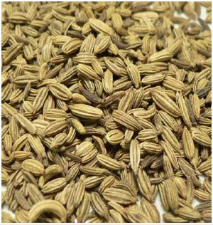 Fennel Seeds