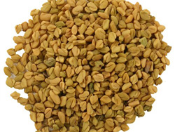 Fenugreek